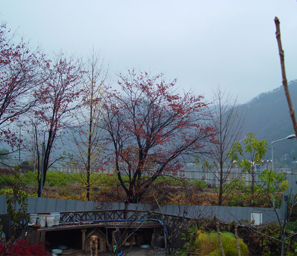 양평에서 본 늦가을의 경치