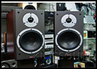다인오디오(Dynaudio) Excite X16 재입고소식!!!